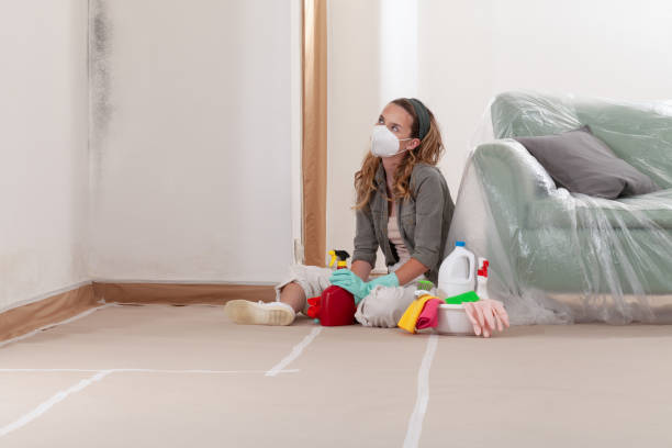 Reliable Mold Inspection And Testing contractor in New Vernon, NJ by Mold Remediation HQ